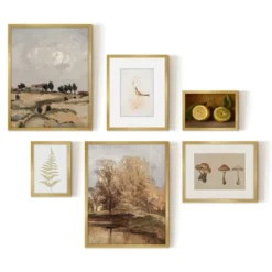 Americanflat 6 Piece Vintage Gallery Wall Art Set - Fall Study, Autumn In The Hills, Mushrooms, Light Bird, Fern Frond By Maple + Oak 12 Americanflat 6 Piece Vintage Gallery Wall Art Set - Fall Study, Autumn In The Hills, Mushrooms, Light Bird, Fern Frond By Maple + Oak -Safavieh Store GUEST 135277bc 3e48 403e 9a12 16f5b4c4e3fd