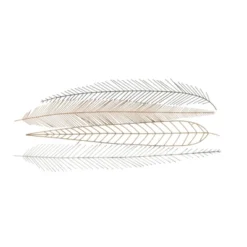 Metal Bird Feather Wall Decor - CosmoLiving By Cosmopolitan -Safavieh Store GUEST 3922c942 09fb 426b acdf 707c2b391351