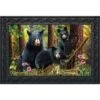 Black Bear Family Nature Doormat Indoor Outdoor 30" X 18" Briarwood Lane 1 Black Bear Family Nature Doormat Indoor Outdoor 30" X 18" Briarwood Lane -Safavieh Store GUEST 42dbca29 a1be 4d89 95bd 403affea00ee