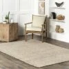 NuLOOM Handwoven Solid Elfriede Area Rug -Safavieh Store GUEST 4e79f856 c7fe 4081 ba8c a738abb9b769