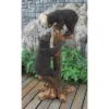Design Toscano Climbing Cubs Black Bear Statue - Black -Safavieh Store GUEST 53696e32 5711 4b97 a3b1 c80f4e67968f