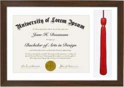 Americanflat 11x16 Graduation Frame With Tempered Shatter-resistant Glass - 2 Opening Mat Displays 8.5"x11" Diploma Or Certificate And Tassle - Available In A Variety Of Colors 23 Americanflat 11x16 Graduation Frame With Tempered Shatter-resistant Glass - 2 Opening Mat Displays 8.5"x11" Diploma Or Certificate And Tassle - Available In A Variety Of Colors -Safavieh Store GUEST 86197621 8a09 4d4b 8f95 e1e1ccc1e8b8