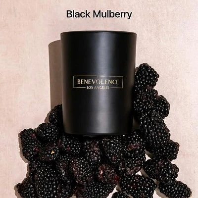 Benevolence LA Black Wax Scented Candle 7 Benevolence LA Black Wax Scented Candle - Image 5