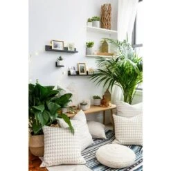 Command Display Ledges -Safavieh Store GUEST bd1662a3 9fc3 4b41 9c0d d7ef5397777c