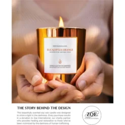 Benevolence LA Premium Scented Wood Wicked Candles In Gold Glass Jar -Safavieh Store GUEST c267b893 1af6 474e a1ff 8d81f3b22e0a