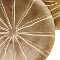 LuxenHome Multi-Color Sand Dollar 47.5" W X 27.5" H Metal Wall Decor -Safavieh Store GUEST ee1a3d58 48c9 47a8 8a4d 5046d68c1fa7