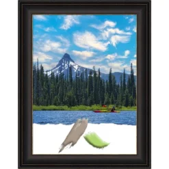 Amanti Art Trio Bronze Picture Frame -Safavieh Store GUEST eebdac0a 75e0 4960 ac9a 72bf75adbc20